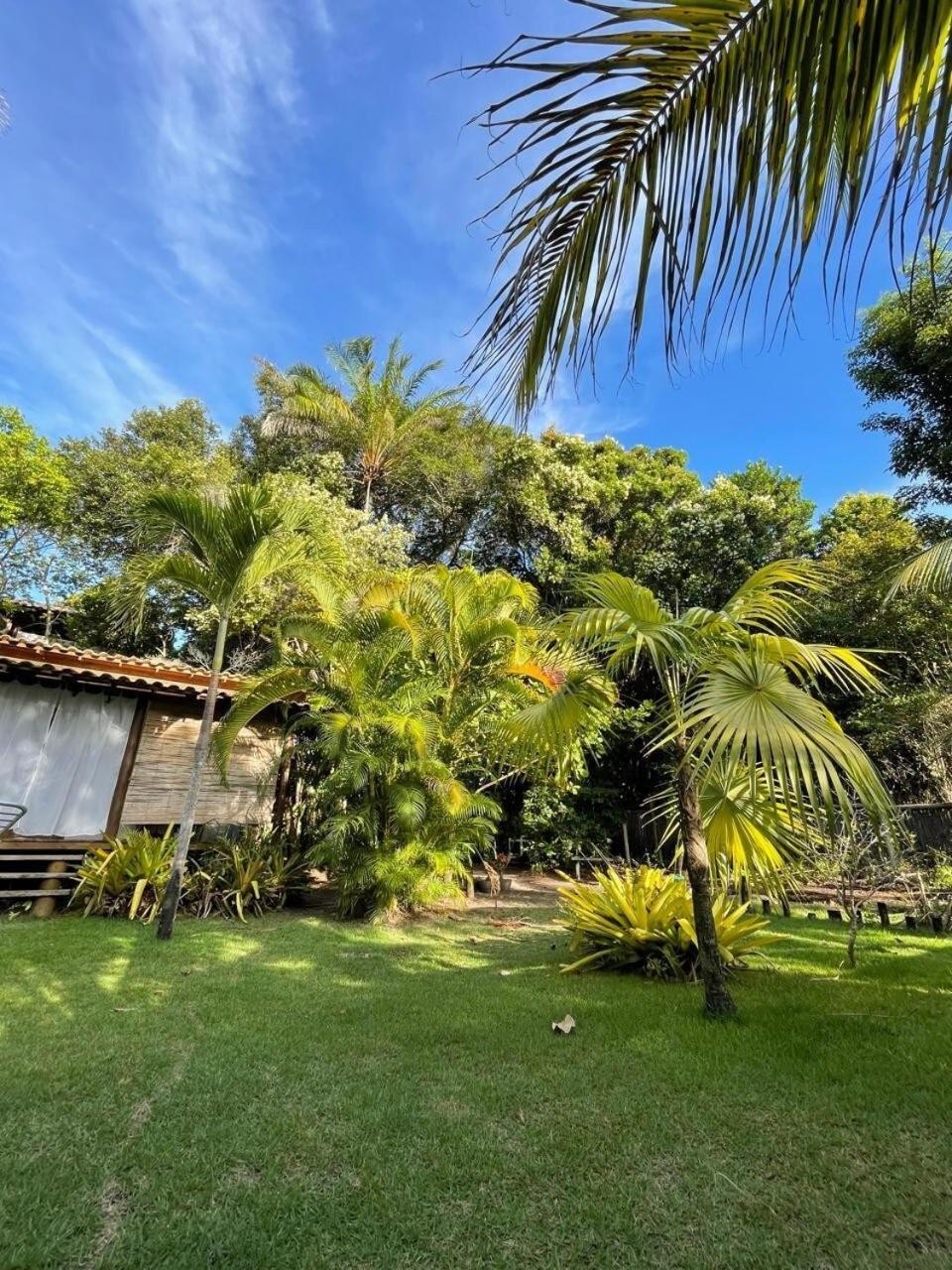 Privacidade, Sossego E Axe Em Taipu De Fora Barra Grande  Exterior foto