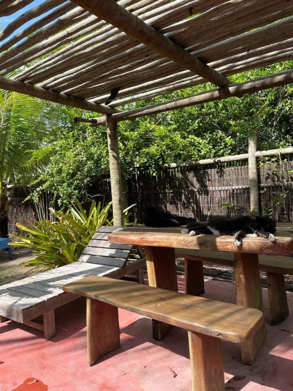 Privacidade, Sossego E Axe Em Taipu De Fora Barra Grande  Exterior foto