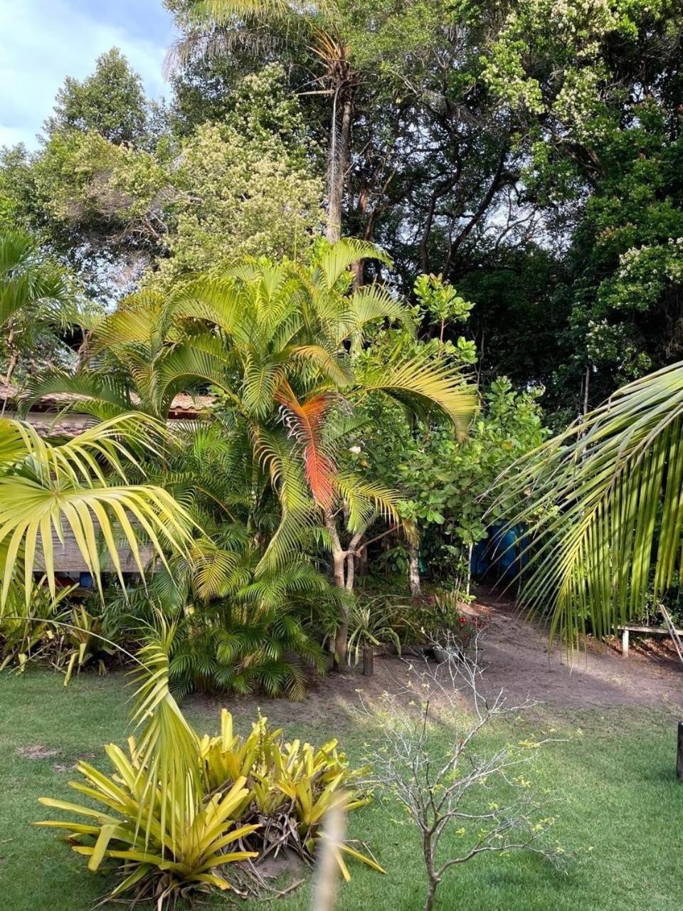 Privacidade, Sossego E Axe Em Taipu De Fora Barra Grande  Exterior foto