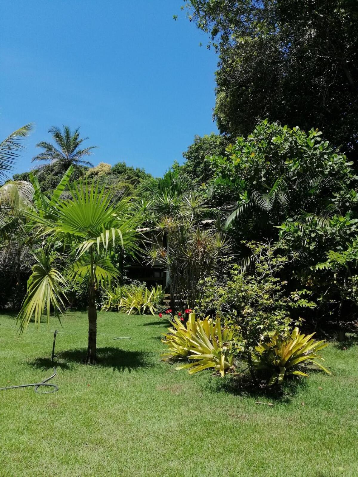 Privacidade, Sossego E Axe Em Taipu De Fora Barra Grande  Exterior foto
